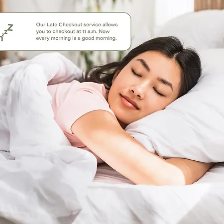 Apartamento Homely I 50m2 I Elevatori Park & Museum View *